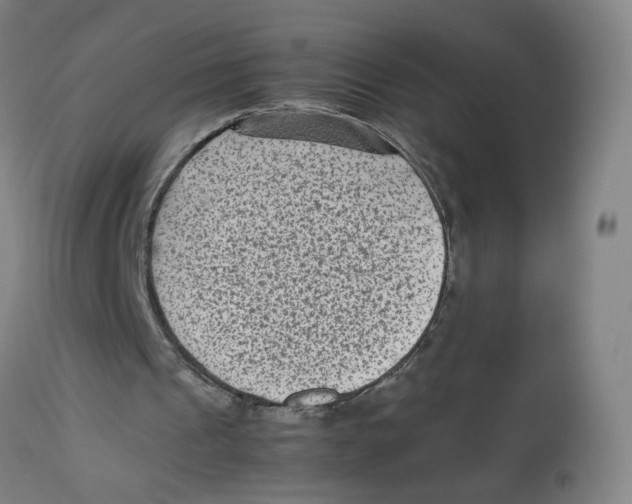 X0000112730241200909171134
