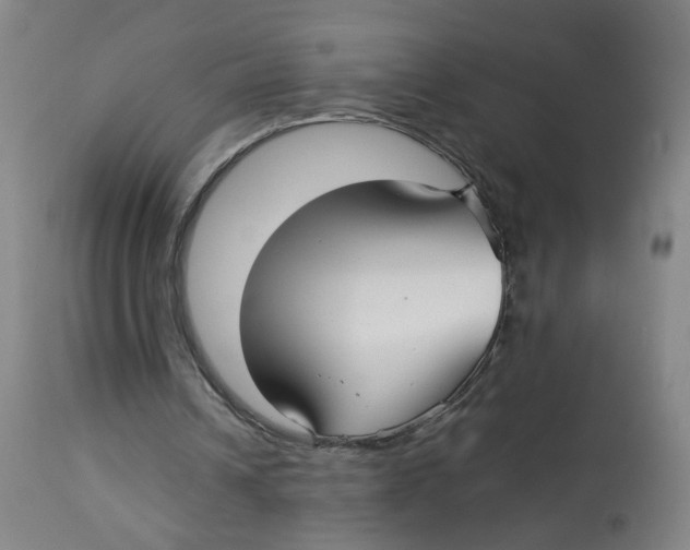 X0000112730242200909171134