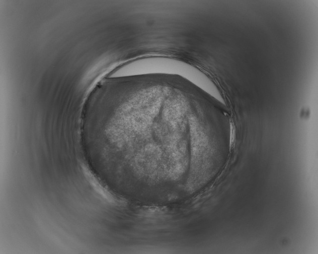 X0000112730243200909171134