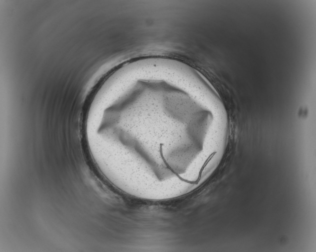 X0000112730244200909171134