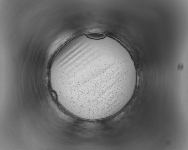 X0000112730245200909171134