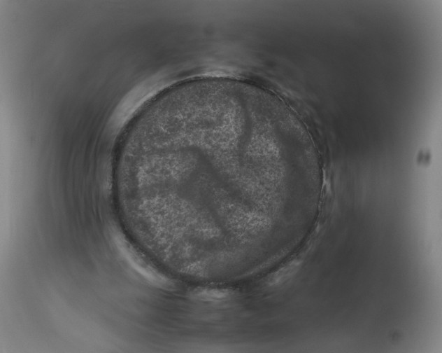 X0000112730247200909171134
