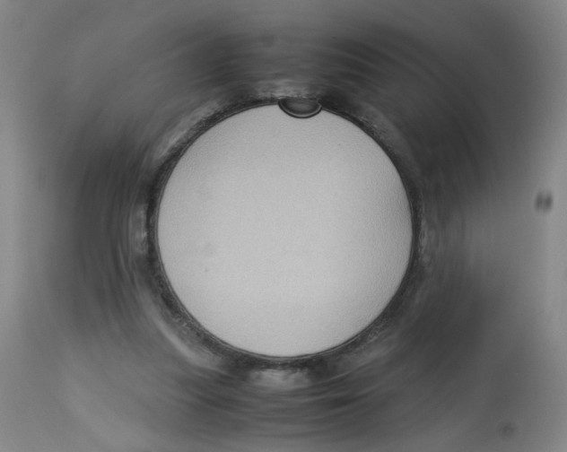 X0000112730251200909171134