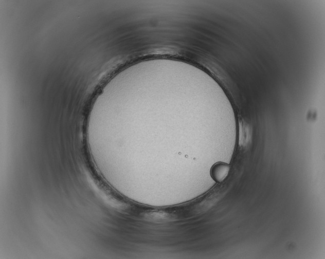 X0000112730253200909171134