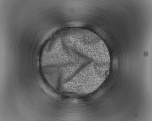 X0000112730254200909171134