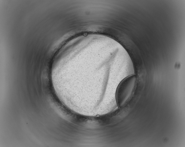 X0000112730256200909171134