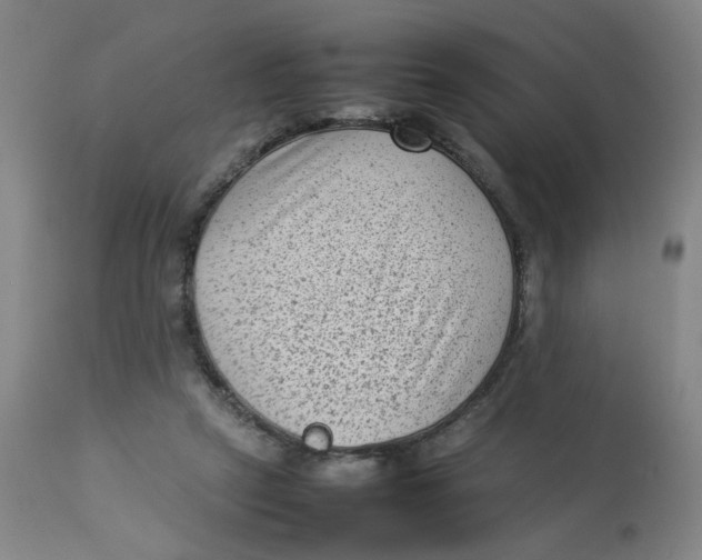 X0000112730257200909171134