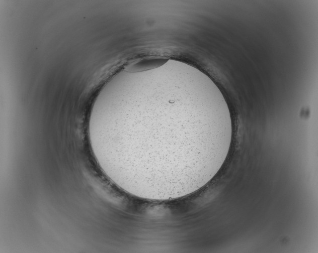 X0000112730258200909171134