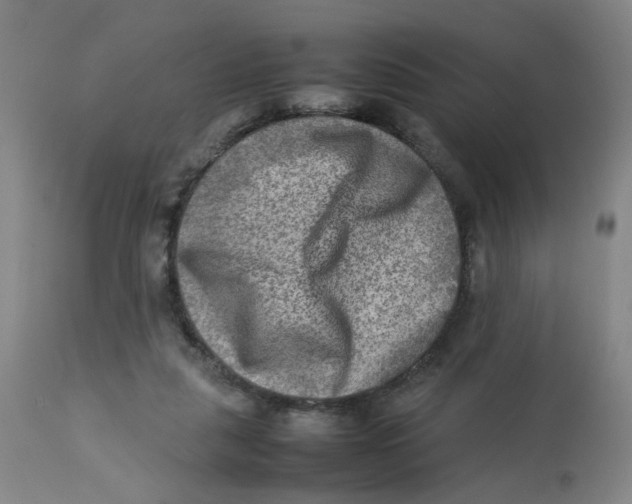 X0000112730259200909171134