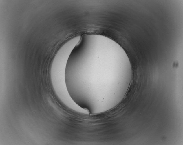 X0000112730263200909171134