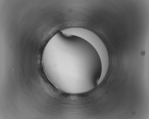 X0000112730264200909171134