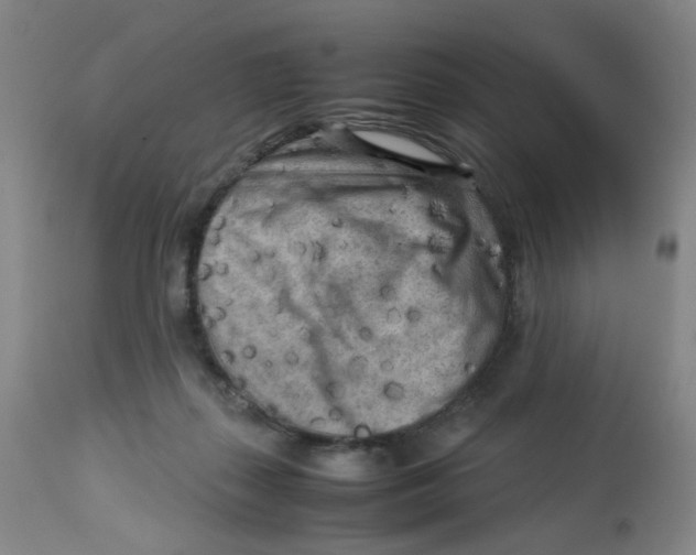 X0000112730267200909171134