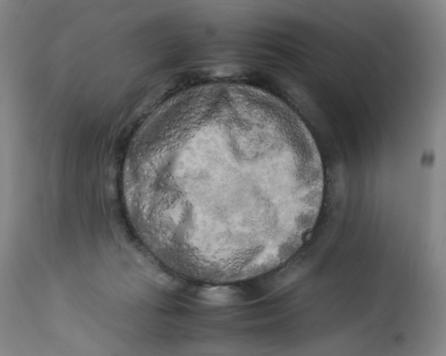 X0000112730269200909171134
