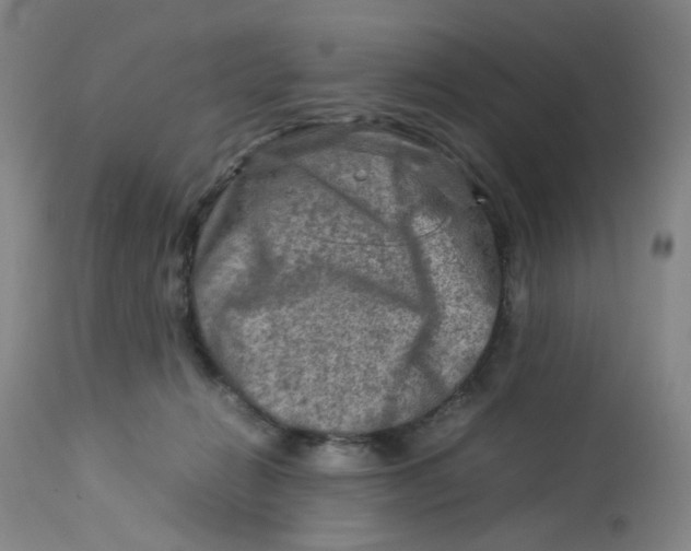 X0000112730270200909171134