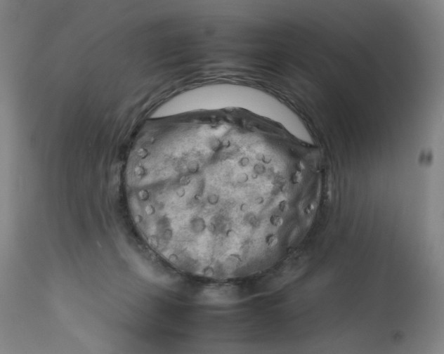X0000112730271200909171134