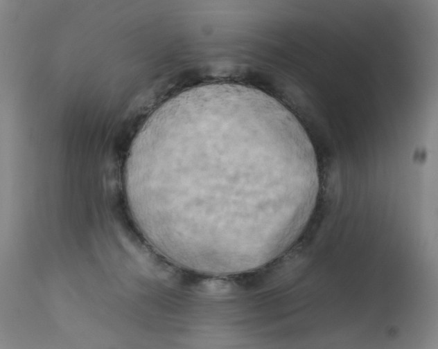 X0000112730272200909171134