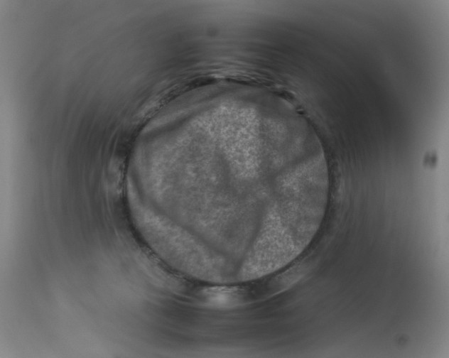 X0000112730273200909171134