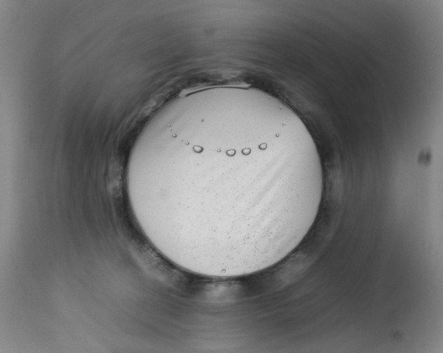 X0000112730274200909171134