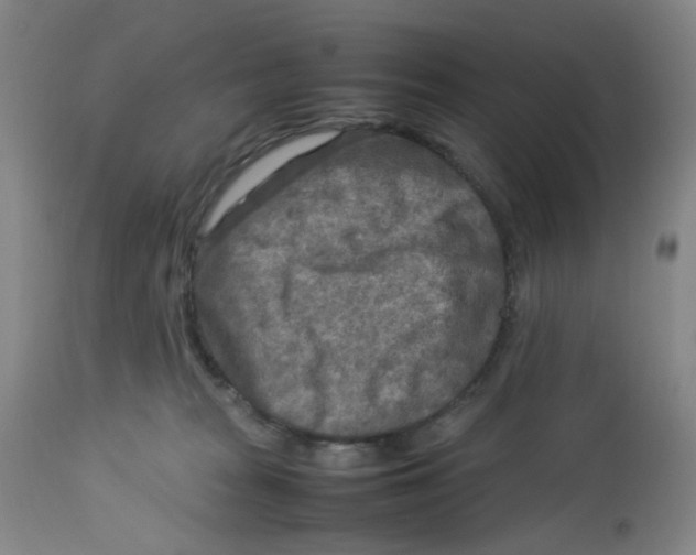 X0000112730277200909171134