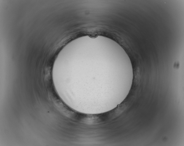 X0000112730278200909171134