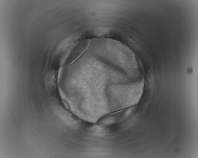 X0000112730280200909171134