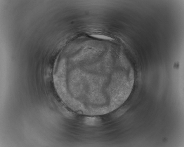 X0000112730281200909171134