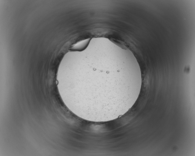 X0000112730283200909171134
