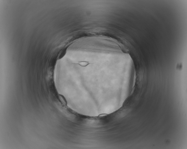 X0000112730284200909171134