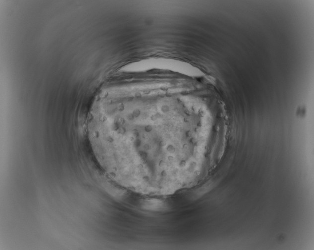 X0000112730285200909171134