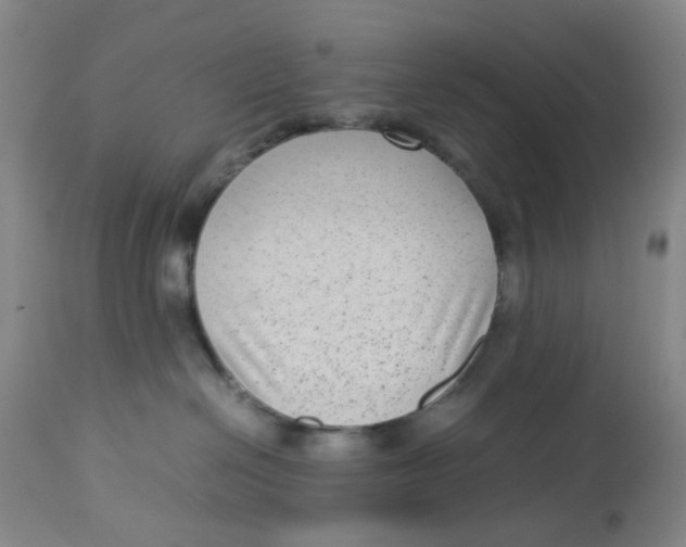 X0000112730286200909171134