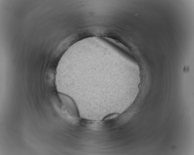 X0000112730288200909171134