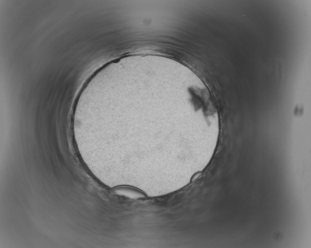 X0000112730289200909171134
