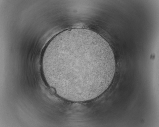 X0000112730290200909171134