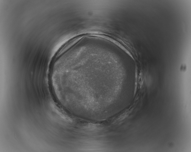X0000112730292200909171134