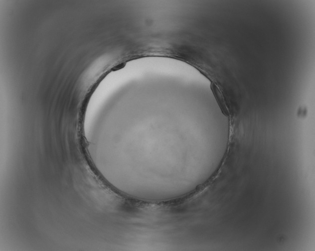 X0000112730293200909171134