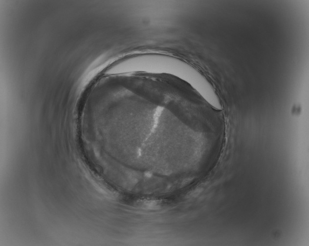X0000112730295200909171134