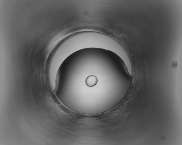 X0000112730296200909171134