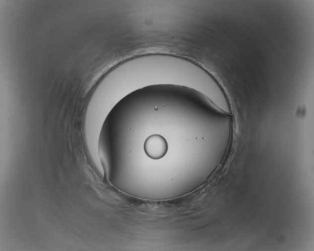 X0000112730297200909171134