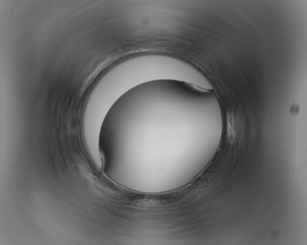 X0000112730300200909171134