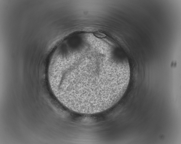 X0000112730303200909171134