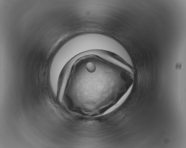 X0000112730304200909171133