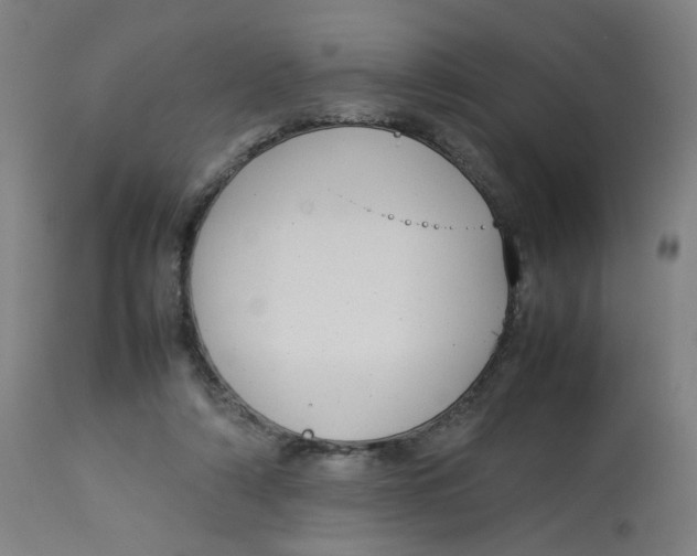 X0000112730306200909171133