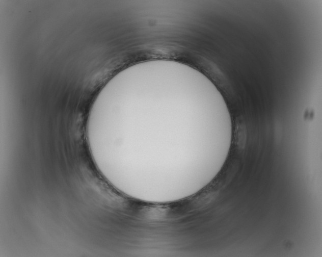 X0000112730318200909171133