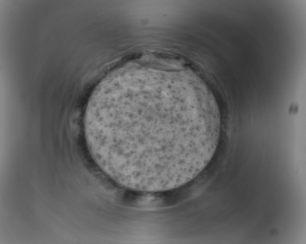 X0000112730319200909171133
