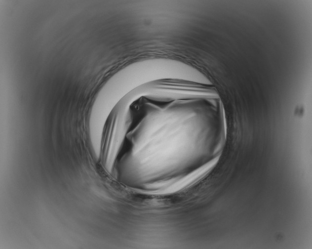 X0000112730320200909171133