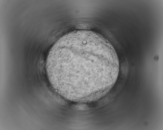 X0000112730322200909171133