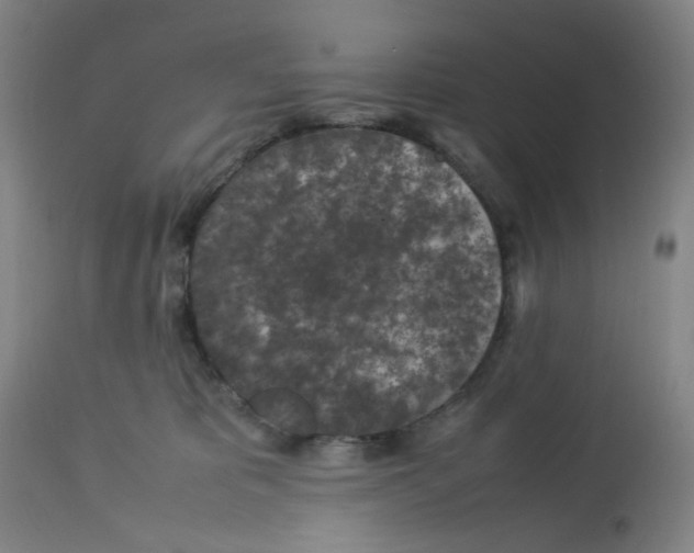 X0000112730325200909171133
