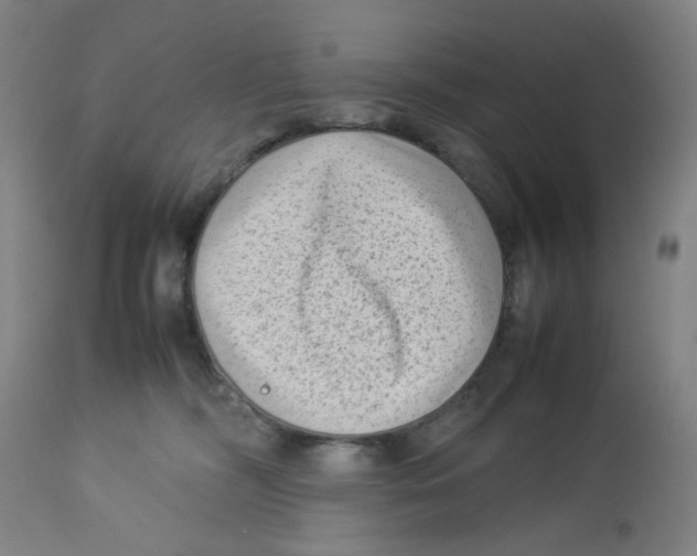 X0000112730326200909171133