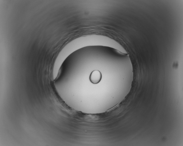 X0000112730328200909171133