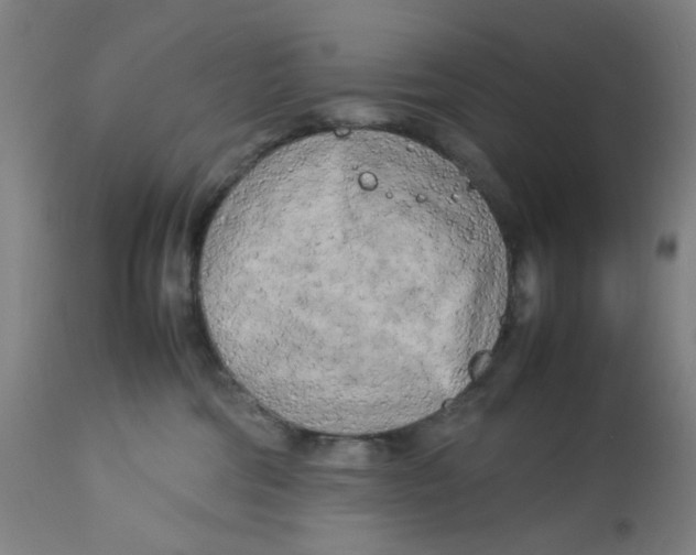 X0000112730330200909171133
